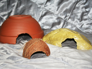 A range of hides that are suitable for use with your Corn Snake